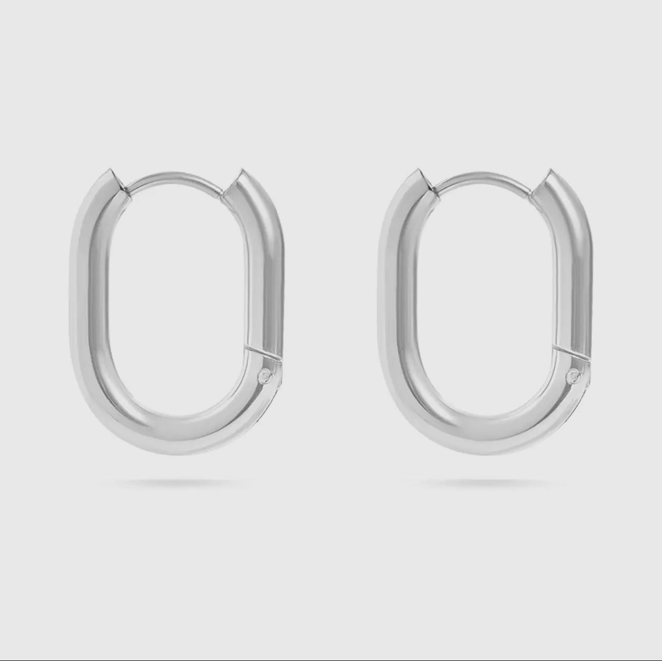 Stainless Steel Oval Earrings